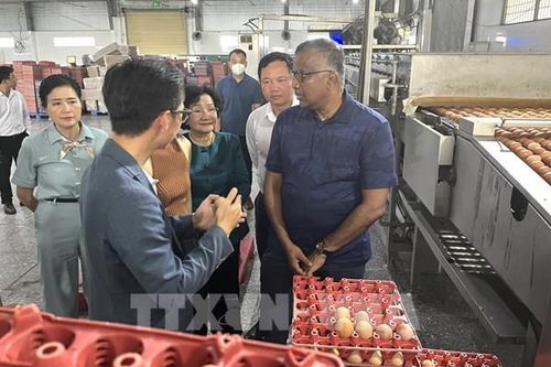 Cơ hội cho sản phẩm nông nghiệp tươi sống xuất khẩu sang Singapore