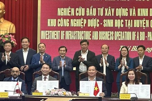 'Cuộc chơi' tỷ đô của Newtechco Group