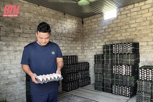 Những nông dân mang tư duy chăn nuôi mới