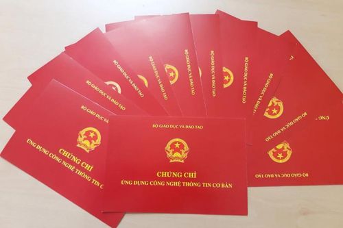 Giám đốc công ty giáo dục cấp chứng chỉ tin học giả mạo