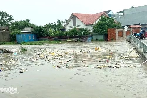 Biên Hòa còn bao nhiêu điểm ngập sau các cơn mưa lớn?