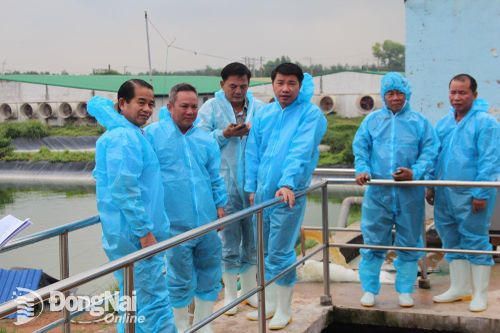 Huyện Vĩnh Cửu có 14 trang trại nằm trong vùng phù hợp với hoạt động chăn nuôi