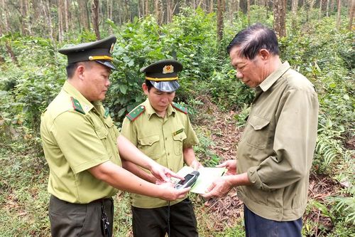 Phát triển rừng bền vững