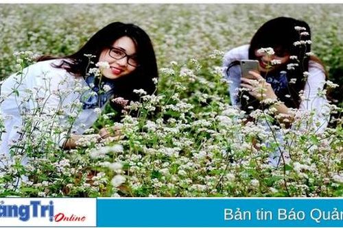 Hoa dại Đà Lạt