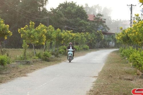 Phù Yên nâng cao chất lượng tiêu chí môi trường