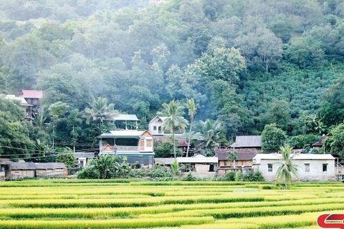 Tháng bảy về