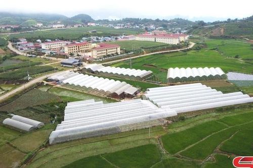 Thêm lực cho đồng bào dân tộc thiểu số phát triển kinh tế