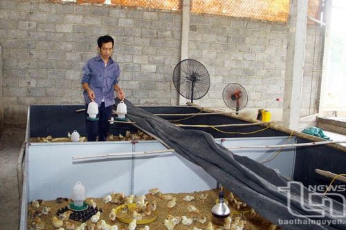 Đẩy mạnh chuyển giao khoa học - kỹ thuật cho nông dân
