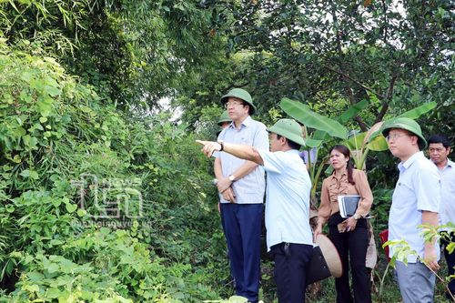 Lãnh đạo tỉnh kiểm tra tình trạng sạt lở bờ sông Cầu tại huyện Phú Bình