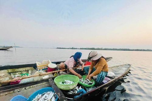 Con đò trên phá Tam Giang