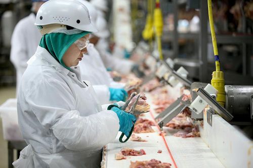 EU sửa đổi quy định liên quan đến chứng nhận vệ sinh thú y