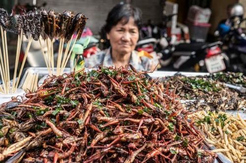 Hướng đến nguồn cung thực phẩm bền vững