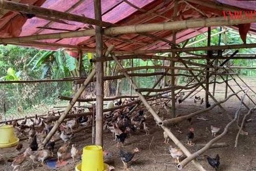 Từ đồi hoang đất sỏi đến phát triển du lịch vùng miền bằng nông sản địa phương