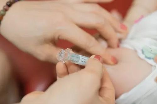 Hà Nội yêu cầu tiêm vét vắc xin phòng bệnh bạch hầu