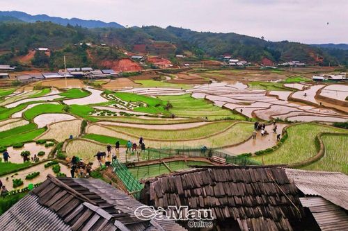 Thiên đường ruộng bậc thang Tây Bắc