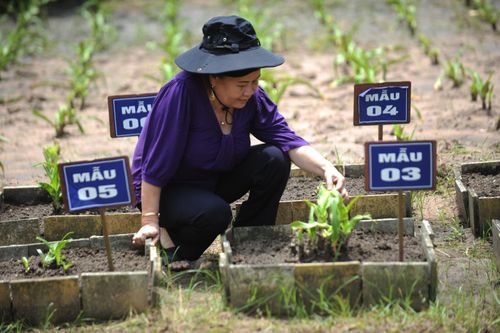 Câu chuyện từ viên thuốc 20 năm tuổi của nhà khoa học nữ
