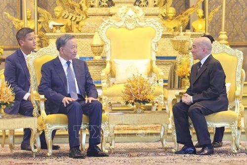 Chủ tịch nước Tô Lâm hội kiến Quốc vương Campuchia Norodom Sihamoni
