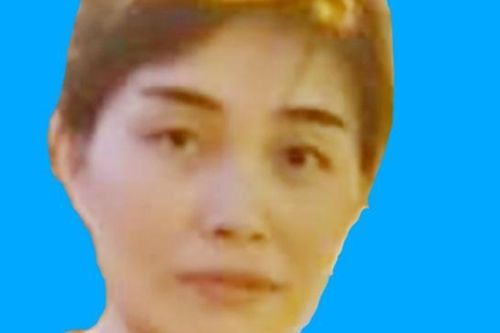 Hà Nội: Truy tìm người phụ nữ thuê xe mang đi cầm cố