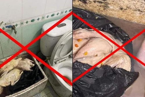 Thực hư quán vịt có giòi để cạnh bồn cầu ở thị xã Đông Triều