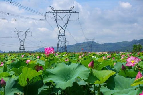 EVNNPT đảm bảo truyền tải điện an toàn, liên tục, ổn định trong 6 tháng năm 2024