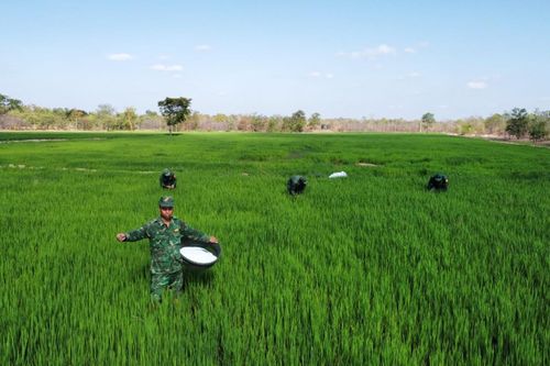 Ánh sáng giữa đường biên (bài 2)