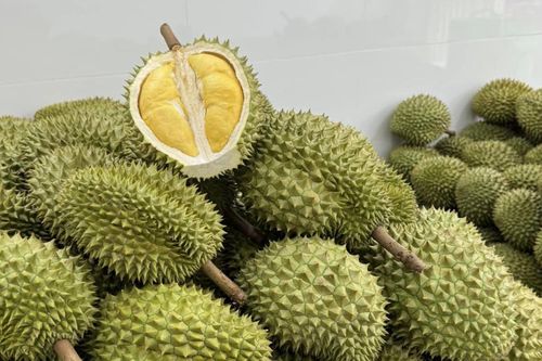 Cảnh báo nhóm người không nên ăn sầu riêng