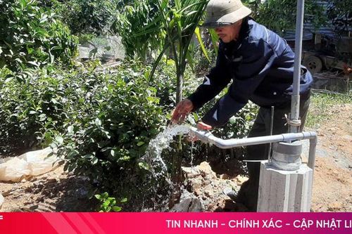 Người dân vùng thượng Kỳ Anh phòng chống hạn cho chè