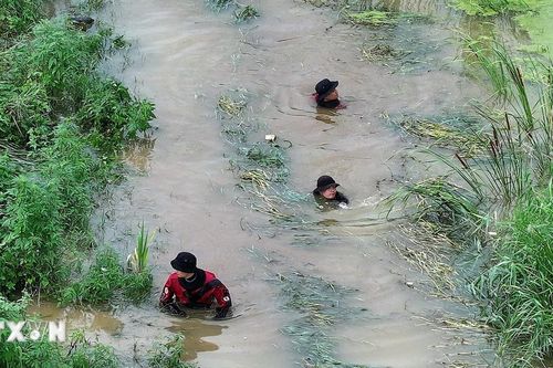 Nông nghiệp Hàn Quốc chịu ảnh hưởng nghiêm trọng do mưa lớn kéo dài
