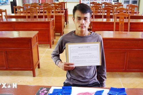 Điện Biên: Bắt một người nước ngoài vận chuyển số lượng lớn ma túy qua biên giới