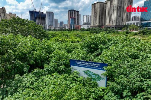 Ảnh 360: Cảnh hoang hóa tại dự án Công viên hồ điều hòa Nam Trung Yên