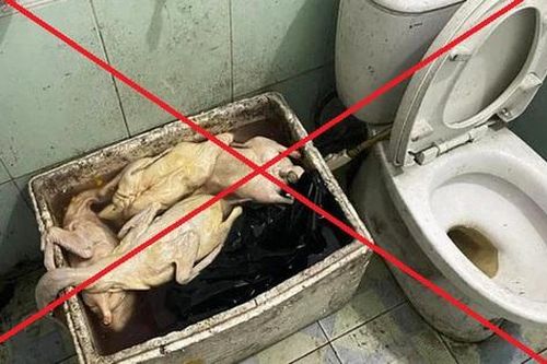 Sự thật bất ngờ vụ 'quán vịt có giòi cạnh bồn cầu' ở Quảng Ninh