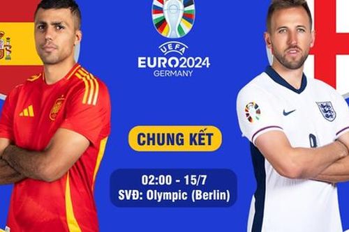 Mèo 'tiên tri' dự đoán kết quả trận Tây Ban Nha và Anh