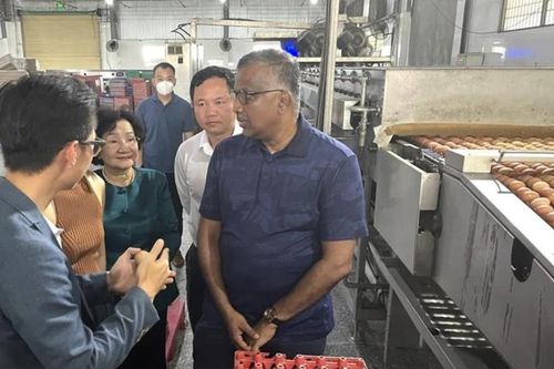 Singapore quan tâm nhập khẩu trứng và thịt gia cầm từ Việt Nam