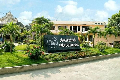Tiền gửi ngân hàng của Phân lân Ninh Bình tăng 6,8 lần