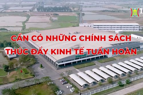 Tạo động lực phát triển kinh tế tuần hoàn | Thủ đô và thế giới | 13/07/2024