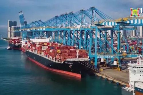 Xuất khẩu Hàn Quốc dự báo tăng trưởng