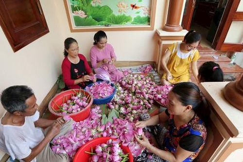 Phát huy tiềm năng, giá trị của hồ Tây: Kết nối 'trục sáng tạo' Tây Hồ