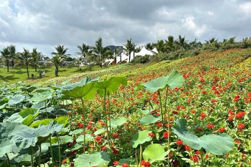 Tìm hướng phát triển cho du lịch quanh hồ Tây