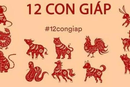 Điều đặc biệt trong vận khí, tài lộc của 12 con giáp sinh trong tiết Tiểu Thử