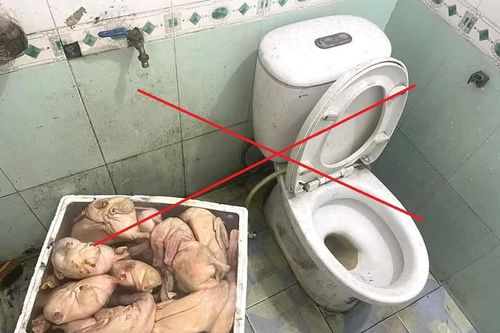 Sự thật bất ngờ vụ em rể tung tin 'quán vịt có giòi cạnh bồn cầu' của anh vợ