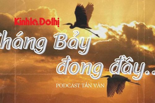 Tháng Bảy đong đầy...