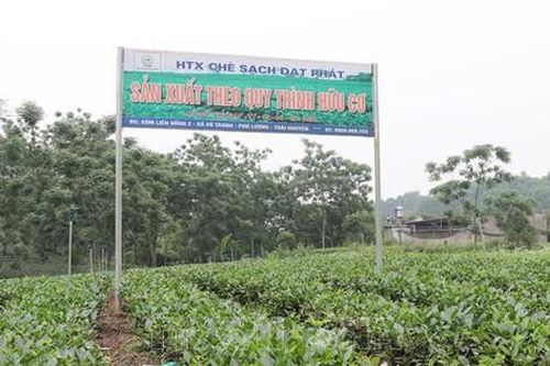 Huyện Định Hóa-Thái Nguyên: Khởi sắc sau 13 năm xây dựng nông thôn mới