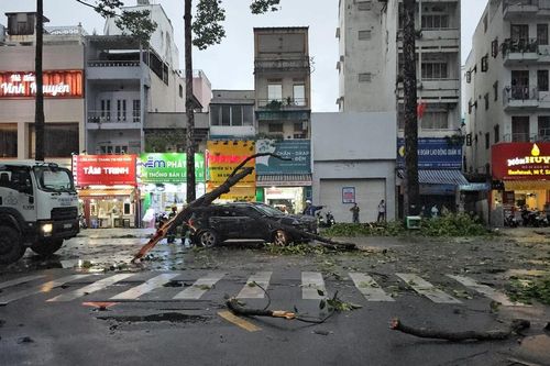 Nhiều người trong xe ô tô thoát chết sau khi bị cây xanh ngã đè ở quận 10, TPHCM
