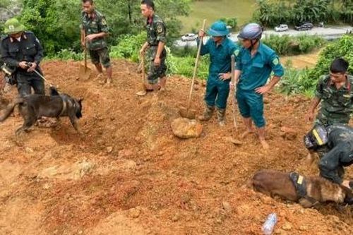 12 người chết trong vụ sạt lở ở Hà Giang, tiếp tục tìm kiếm các nạn nhân