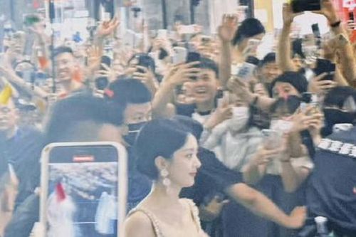 Hàng nghìn người xếp hàng đợi 12 tiếng để gặp Triệu Lệ Dĩnh