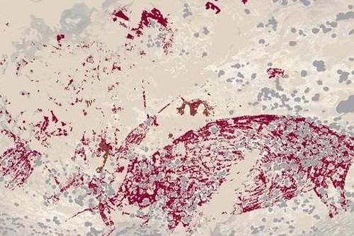 Phát hiện bức tranh hang động 'lâu đời nhất thế giới'