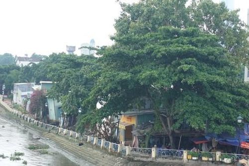 TPHCM đầu tư hơn 650 tỷ đồng gia cố kè Thanh Đa
