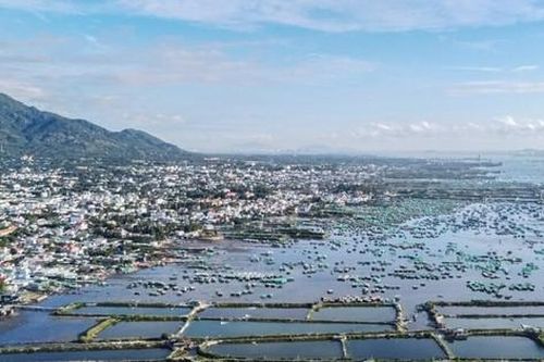 Điều tra vụ lạm dụng chức vụ, chiếm đoạt tài sản tại Trung tâm phát triển quỹ đất TP Cam Ranh