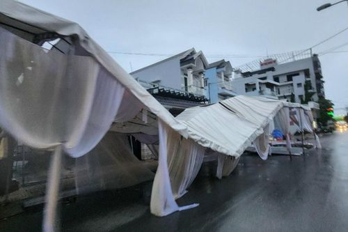 Rạp cưới bị xô đổ, cành cây gãy đè trúng ô tô trong giông lốc ở TPHCM