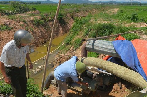 Hồ chứa cạn nước, nông dân Nghệ An lắp máy bơm dã chiến cứu lúa